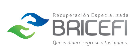 BRICEFI